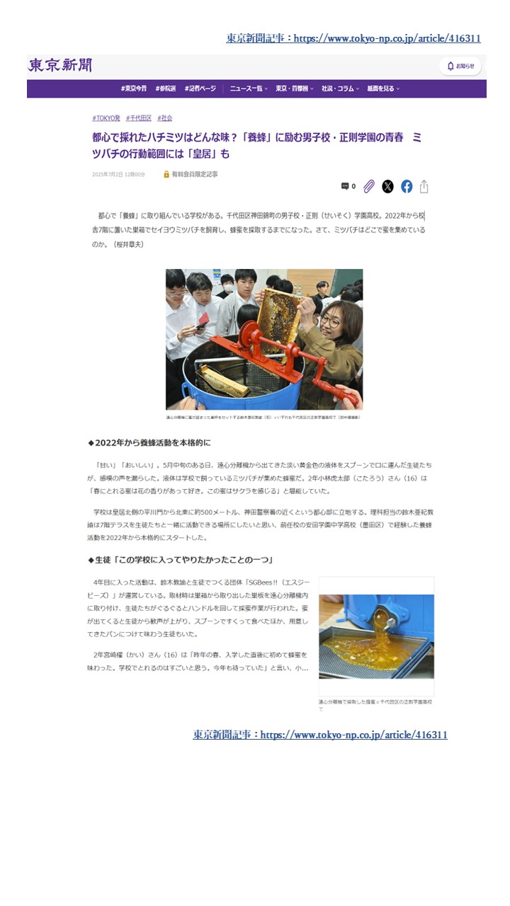 「SGBees!!（みつばちクラブ）」が、2025年7月2日付の東京新聞に掲載されました。